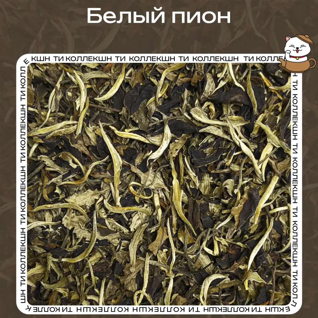 купить чай белый пион опт
