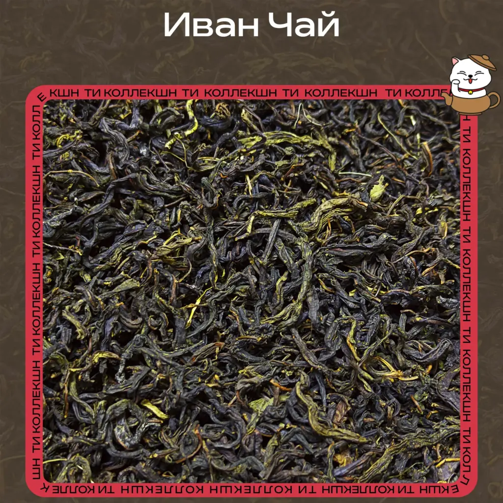 купить иван чай опт