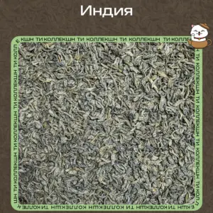 купить чай индия опт