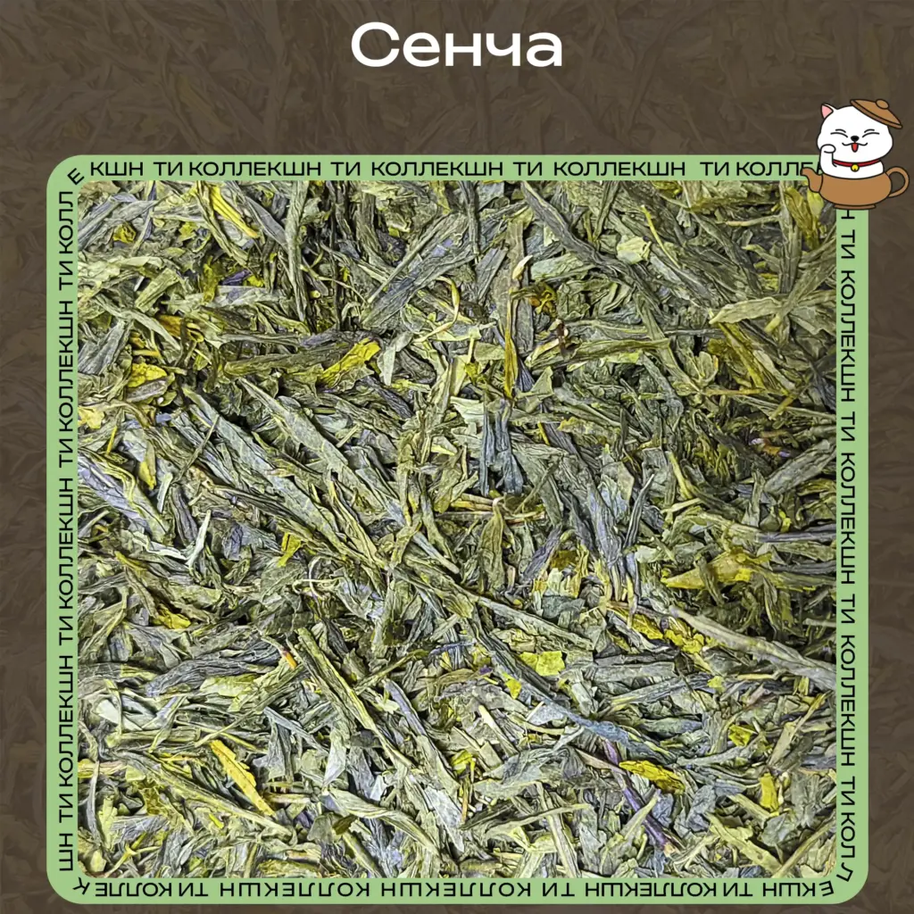 купить чай сенча опт